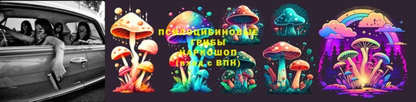 а пвп мука Новодвинск
